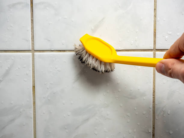 Best Mold Removal Near Me  in East Harwich, MA