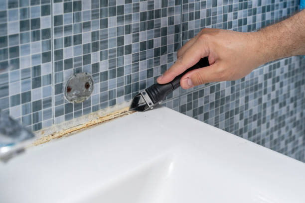 Best Mold Cleaning Services  in East Harwich, MA
